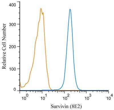 Flow (Intracellular): Survivin Antibody (8E2) [NB500-644]