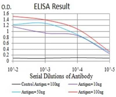 ELISA: Synapsin I Antibody (7B1D9) - BSA Free [NBP2-61894]