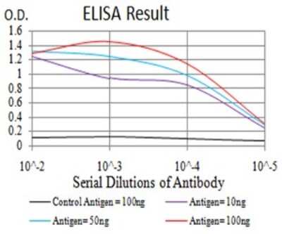 ELISA: Synapsin I Antibody (7H10G6) - BSA Free [NBP2-61895]
