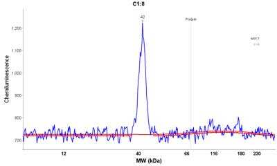 Simple Western: Syntaxin 16 Antibody [NBP1-92467]