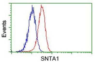 Flow Cytometry: Syntrophin alpha 1 Antibody (OTI1H10) - Azide and BSA Free [NBP2-74422]