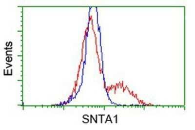 Flow Cytometry: Syntrophin alpha 1 Antibody (OTI1H10) - Azide and BSA Free [NBP2-74422]