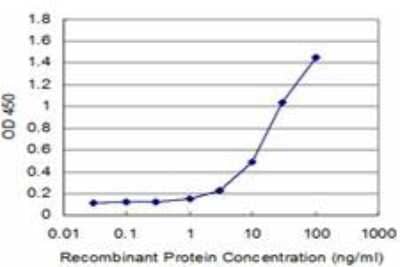 ELISA: beta-Synuclein Antibody (4F11) [H00006620-M16]