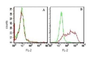 Flow Cytometry: T Cell Exhaustion Marker (Flow-Directly Conjugated) Antibody Pack [NBP3-12863]