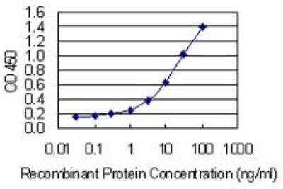 ELISA: T Plastin Antibody (5B9) [H00005358-M01]