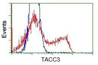 Flow Cytometry: TACC3 Antibody (OTI6F1) [NBP2-02619]