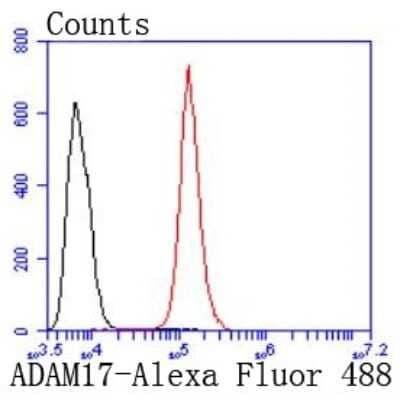Flow Cytometry: TACE/ADAM17 Antibody (JM10-35) [NBP2-67179]