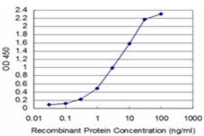 ELISA: TAF11 Antibody (3G6) [H00006882-M06]