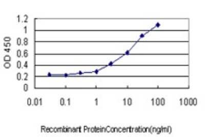 ELISA: TAF7 Antibody (2C5) [H00006879-M01]
