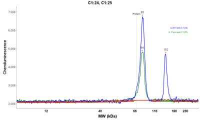 Simple Western: TARS Antibody [NBP1-89427]