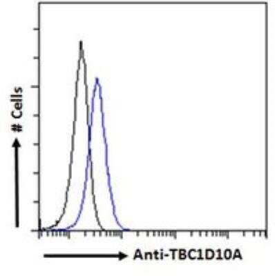 Flow Cytometry: TBC1D10A Antibody [NBP2-61998]