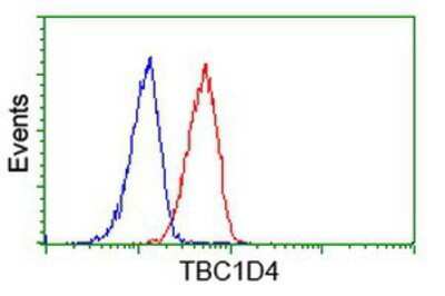Flow Cytometry: TBC1D4 Antibody (OTI5E6) [NBP2-00597]