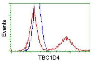 Flow Cytometry: TBC1D4 Antibody (OTI5E6) [NBP2-00597]
