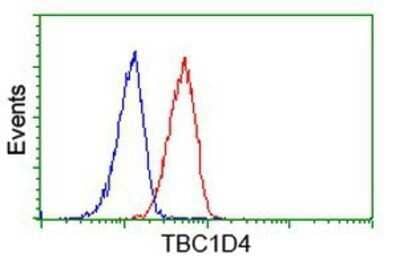 Flow Cytometry: TBC1D4 Antibody (OTI5E6) - Azide and BSA Free [NBP2-74462]