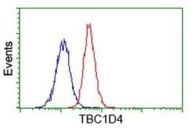 Flow Cytometry: TBC1D4 Antibody (OTI5E6) - Azide and BSA Free [NBP2-74462]