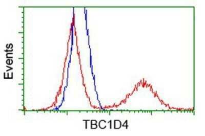 Flow Cytometry: TBC1D4 Antibody (OTI5E6) - Azide and BSA Free [NBP2-74462]