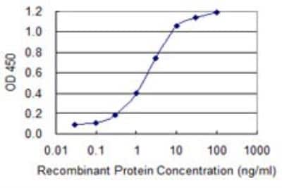 ELISA: TBR1 Antibody (3F6) [H00010716-M01]