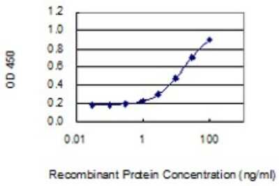 ELISA: TBX3 Antibody (3A7) [H00006926-M06]