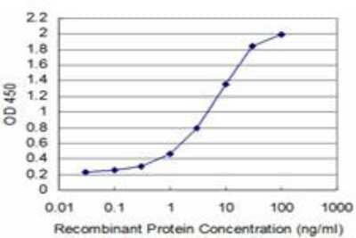 ELISA: TBX6 Antibody (3F6) [H00006911-M03]