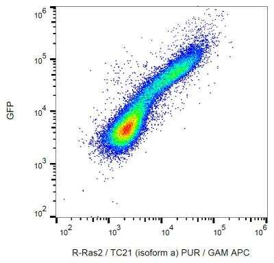 Flow Cytometry: TC21/R-Ras2 Antibody (EM-50) [NBP2-62216]