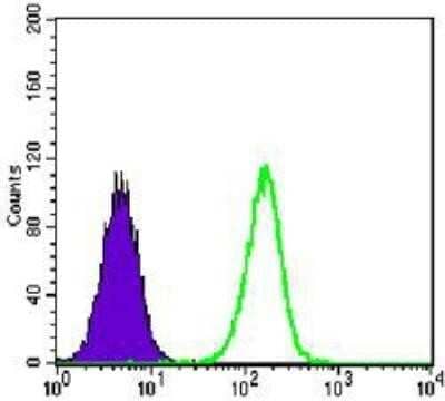 Flow Cytometry: TCF-3/E2A Antibody (6B8) - BSA Free [NBP1-42566]