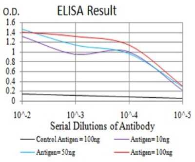 ELISA: TCF4 Antibody (4D4C4) - BSA Free [NBP2-61896]