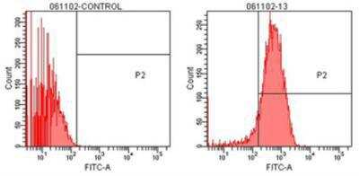 Flow Cytometry: TCP1 alpha Antibody (91a) [NBP1-97505]