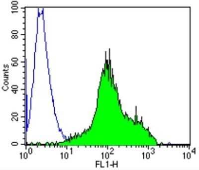 Flow Cytometry: TCR beta Antibody (8A3) [NBP2-22486]