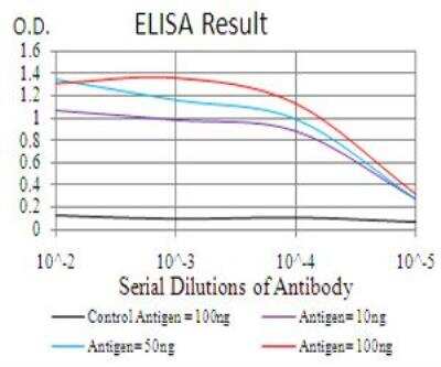 ELISA: TDP-43/TARDBP Antibody (7F9A6) - BSA Free [NBP2-52492]