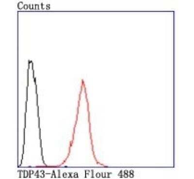 Flow Cytometry: TDP-43/TARDBP Antibody (JM51-10) [NBP2-80137]