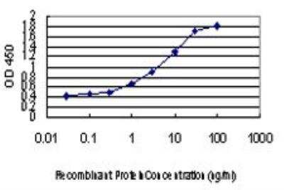 ELISA: TEAD4 Antibody (5H3) [H00007004-M01]