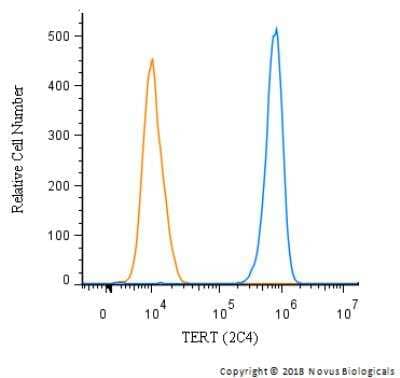 Flow Cytometry: TERT Antibody (2C4) [NB100-317]