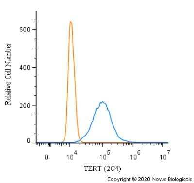 Flow Cytometry: TERT Antibody (2C4) [NB100-317]