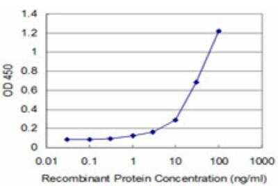 ELISA: TESK2 Antibody (5C3) [H00010420-M11]