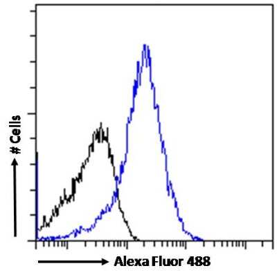 Flow Cytometry: TET2 Antibody [NBP2-27465]
