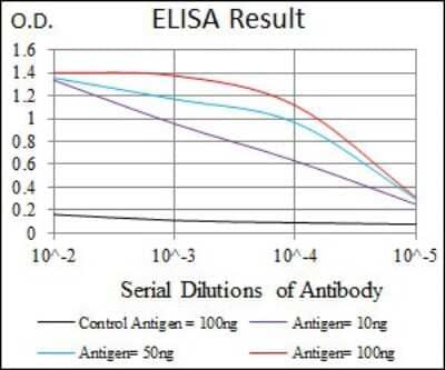 ELISA: LAP (TGF-beta 1) Antibody (7F6) - BSA Free [NBP2-22114]