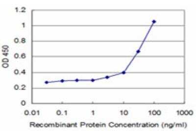 ELISA: TGF beta induced factor 2 Antibody (5G1) [H00060436-M03]