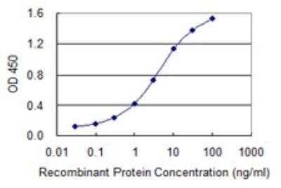 ELISA: TGN46 Antibody (2F11) [H00010618-M02]