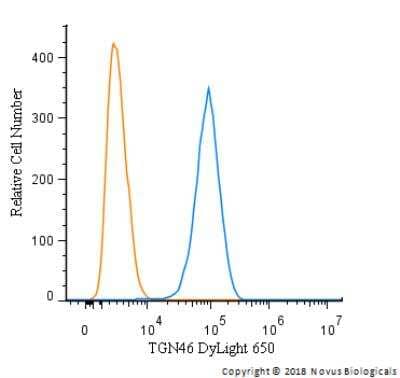 Flow Cytometry: TGN46 Antibody - BSA Free [NBP1-49643]