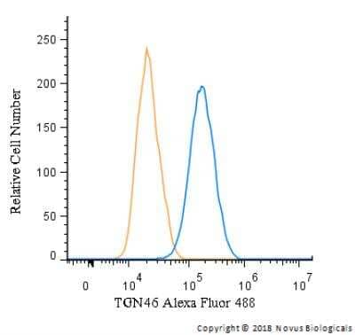 Flow (Intracellular): TGN46 Antibody - BSA Free [NBP1-49643]