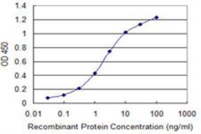 ELISA: TIAM2 Antibody (1C10) [H00026230-M03]