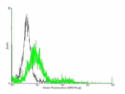 Flow Cytometry: TIAM2 Antibody [H00026230-B01P]