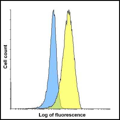 Flow Cytometry: TIGIT Antibody (2C7) - VHH - Azide and BSA Free [NBP3-12834]
