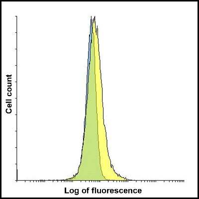 Flow Cytometry: TIGIT Antibody (2F7) - VHH - Azide and BSA Free [NBP3-12832]