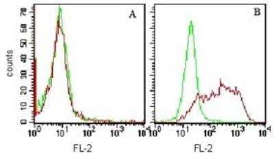 Flow Cytometry: TIM-3 Antibody (F38-2E2) - Azide Free [NBP2-27221]