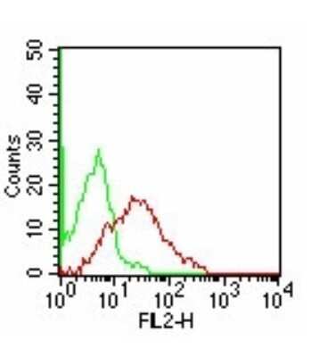Flow (Cell Surface): TIM-3 Antibody (F38-2E2) - BSA Free [NBP2-27220]