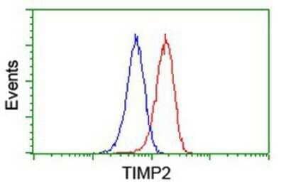 Flow Cytometry: TIMP-2 Antibody (OTI1A6) - Azide and BSA Free [NBP2-74521]