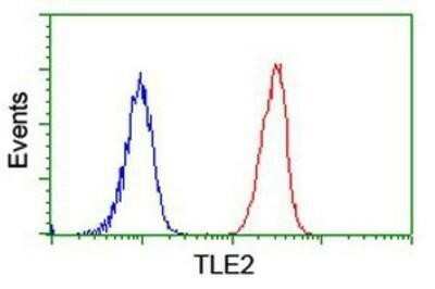 Flow Cytometry: TLE2 Antibody (OTI5A6) - Azide and BSA Free [NBP2-74531]