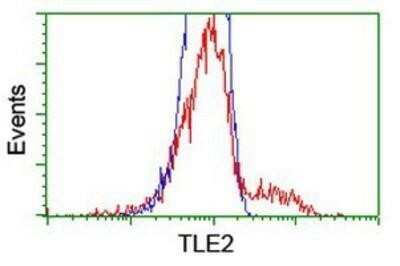 Flow Cytometry: TLE2 Antibody (OTI5A6) - Azide and BSA Free [NBP2-74531]