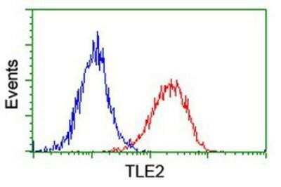 Flow Cytometry: TLE2 Antibody (OTI5A6) [NBP2-01733]